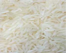 Manufacturers Exporters and Wholesale Suppliers of Sharbati Sela Rice Nagpur Maharashtra